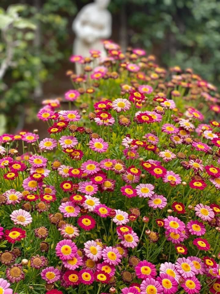 Alondra Guest Home exterior view