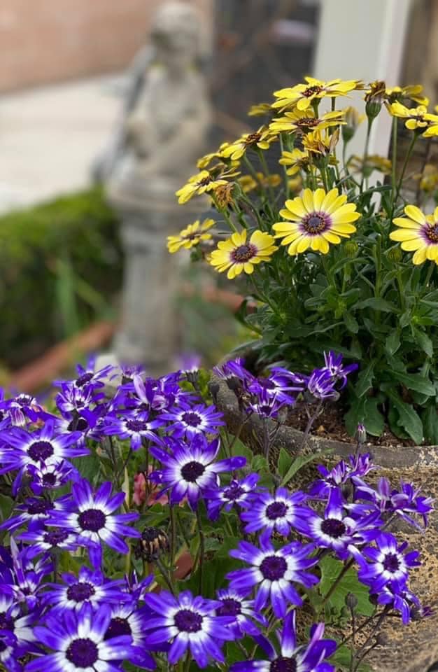 Alondra Guest Home exterior